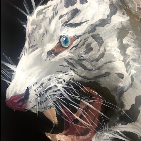 虎