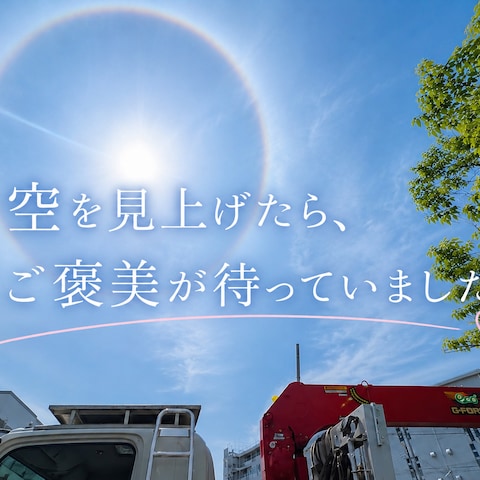 ♡幸せのハロ現象♡