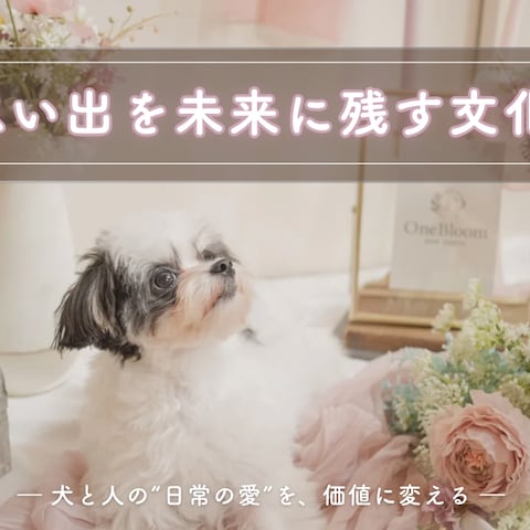 デザインスライド