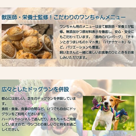 ドッグカフェLP画像