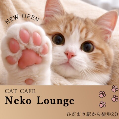 猫カフェの広告