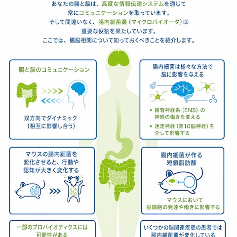 腸脳相関