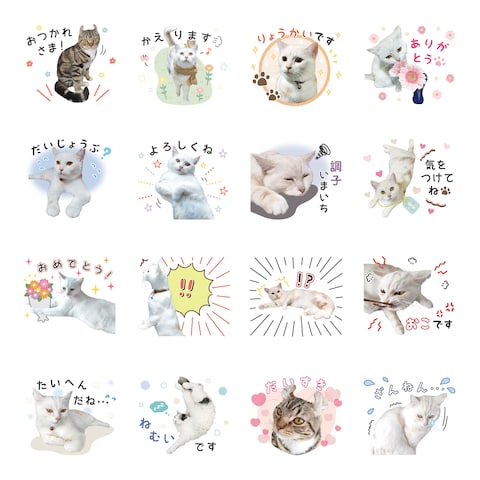 スタンプ16個セット_ご紹介