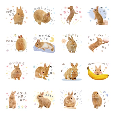 スタンプ16個セット_ご紹介