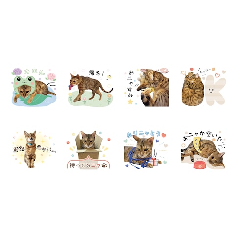 スタンプ8個セット_ご紹介