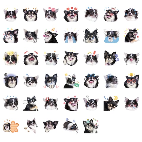 写真絵文字40個セット_ご紹介