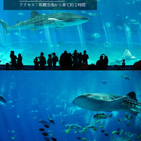 旅行(2枚目以降)