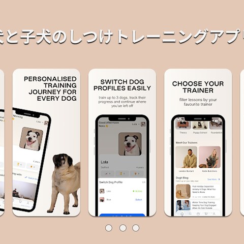 犬と子犬のしつけトレーニングアプリの開発