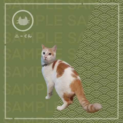 愛猫の写真をシール紙にプリントした際のデザイン