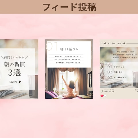 フィード投稿