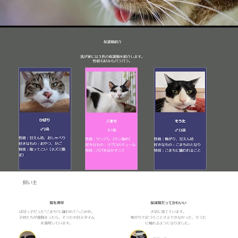 保護猫