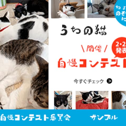 サンプルです。
