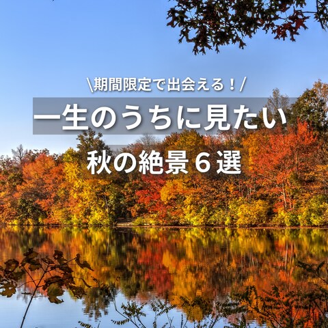 旅行ポートフォリオ