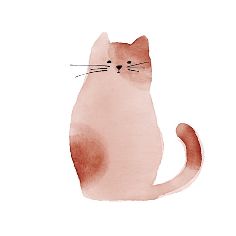 ねこ