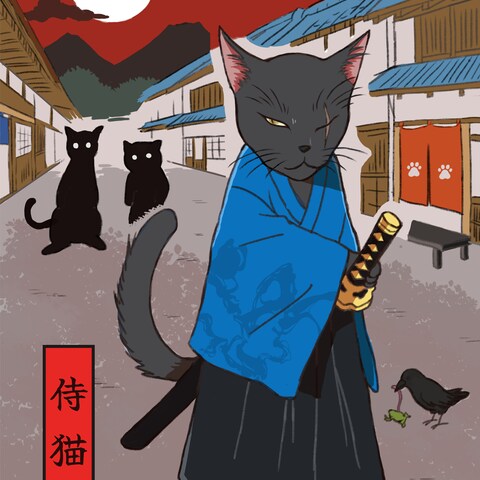 侍猫