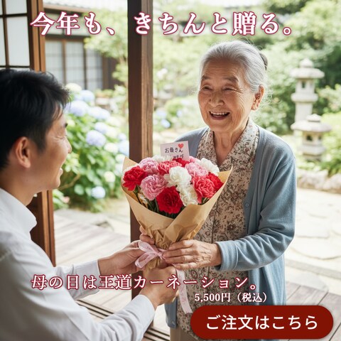 バナーデザイン_母の日プレゼント