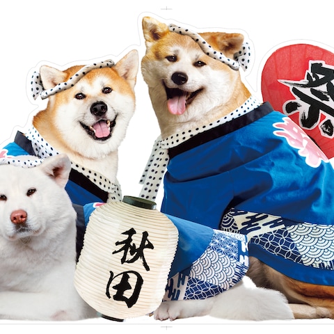 犬と服、提灯などの合成