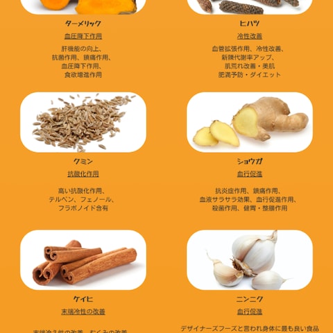カレーサプリのLP制作