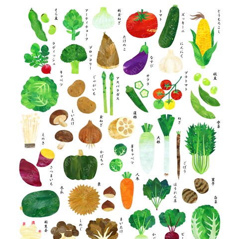 たくさんの野菜のカットイラスト