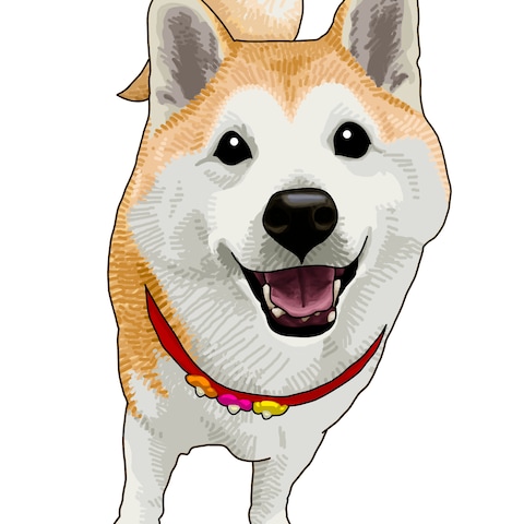 イラスト作成
