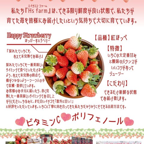 チラシ