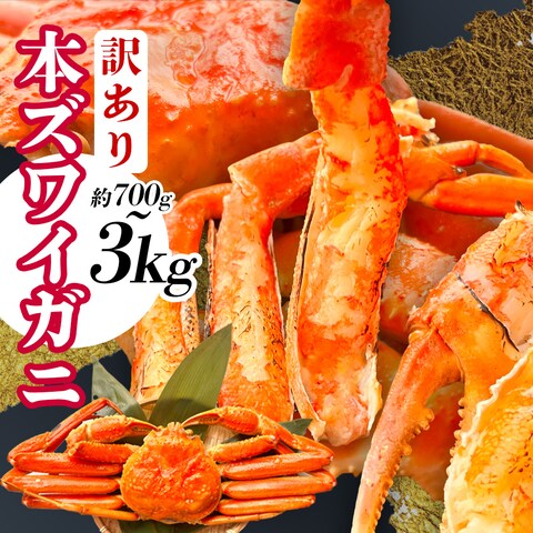 食品サムネ