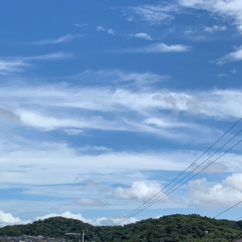 湘南の山