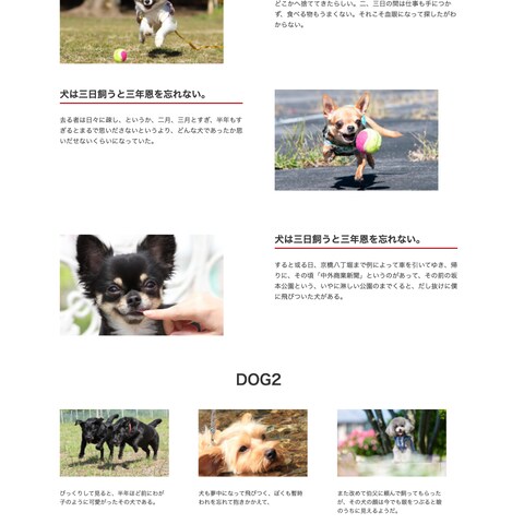 デモサイト