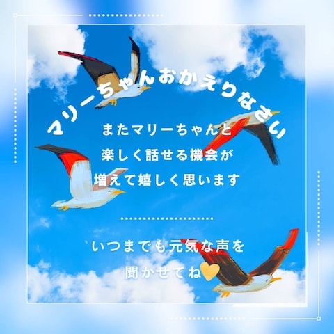 ご購入者様から頂きました☘️