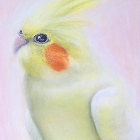Lemonade Dawn