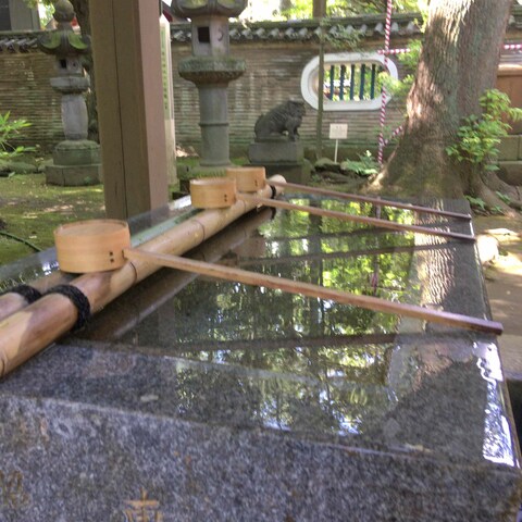 神社の手水舎はとても神聖な場所です。