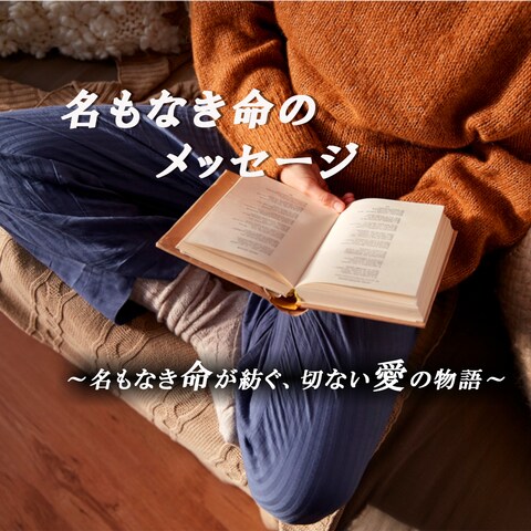 本の魅力を伝えるSNS投稿画像