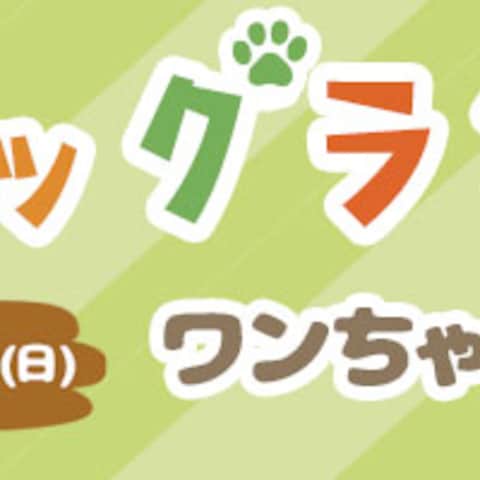 ドッグランイベント 告知バナー