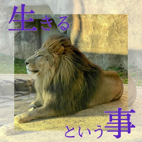 生きるという事