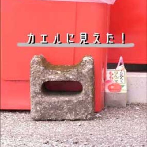 カエルに見えた！