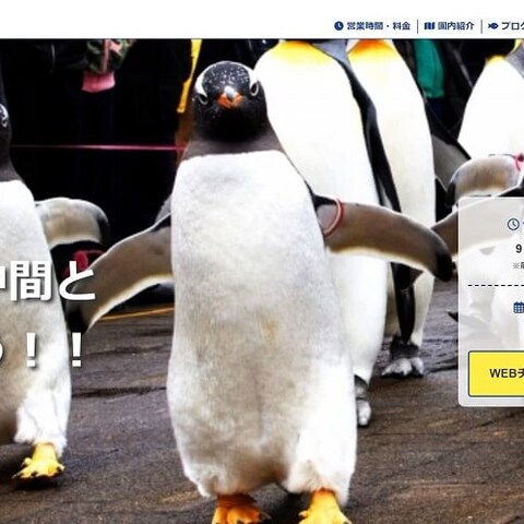 練習で作成した架空水族館のサイト