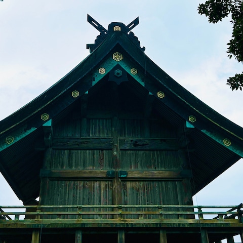 島根県出雲大社参拝 神殿(裏側) 神在月 20241117