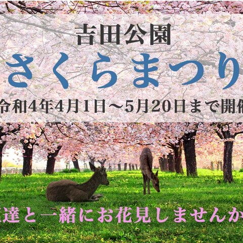 さくらまつり