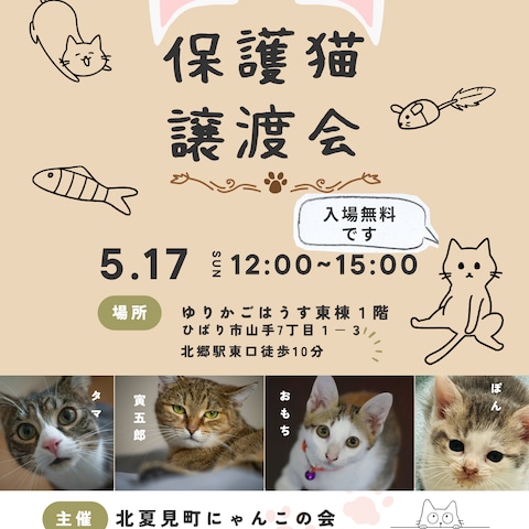 保護猫譲渡会　A4広告