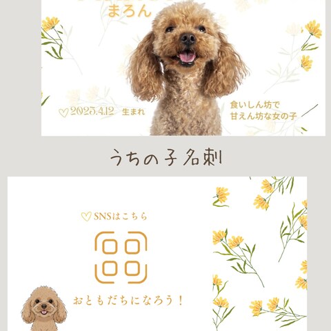 うちの子名刺作成