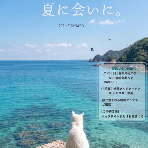 透明感のある旅行・イベントチラシ