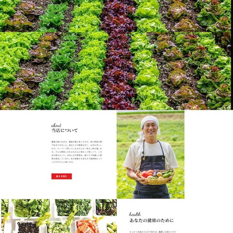 架空の野菜カフェホームページ