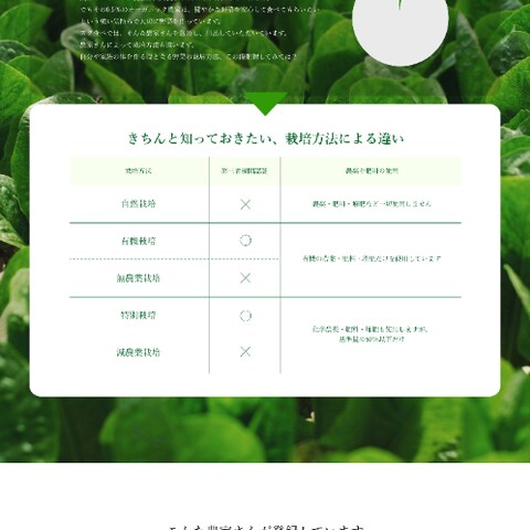 スグ食べ LP