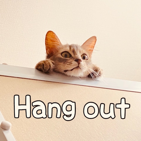 Hang out