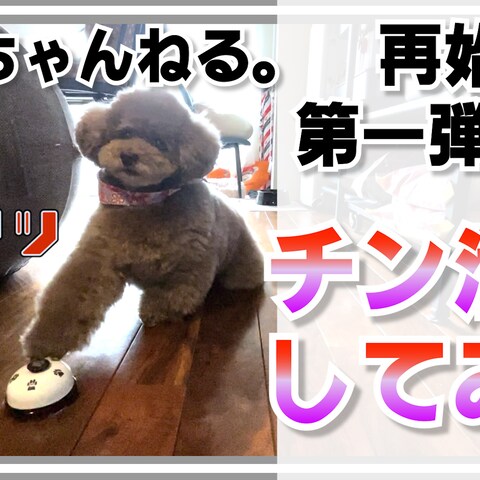 動画編集代行いたします