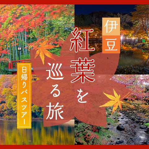 バスツアー広告バナー