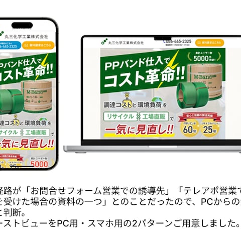 PPバンド資料請求獲得LP