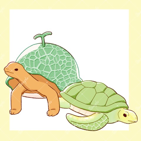 メロン×カメ