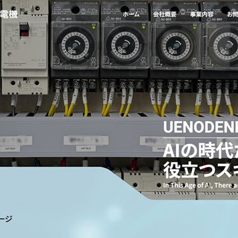  有限会社 上野電機