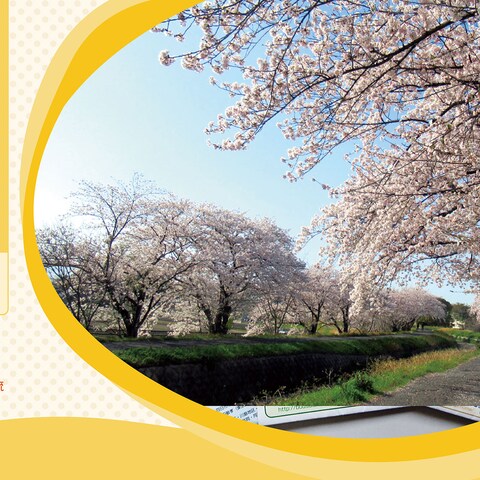 三重地区ホームページ
